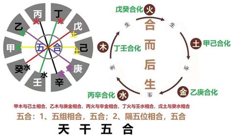 天干五合